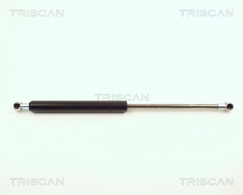 8710 11106