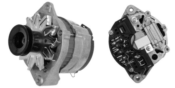 MG 376