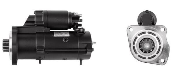 MS 209