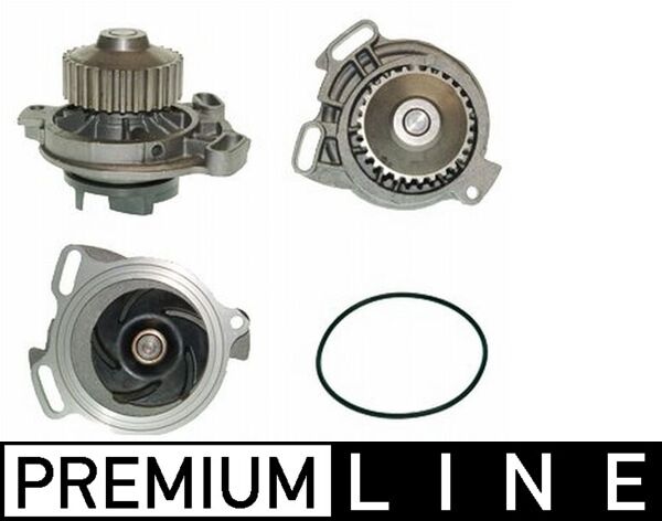 CP 113 000P