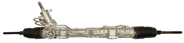 490010041R