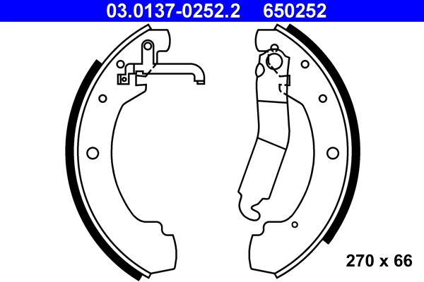 291609531F