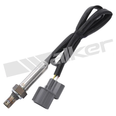 AMR 6244