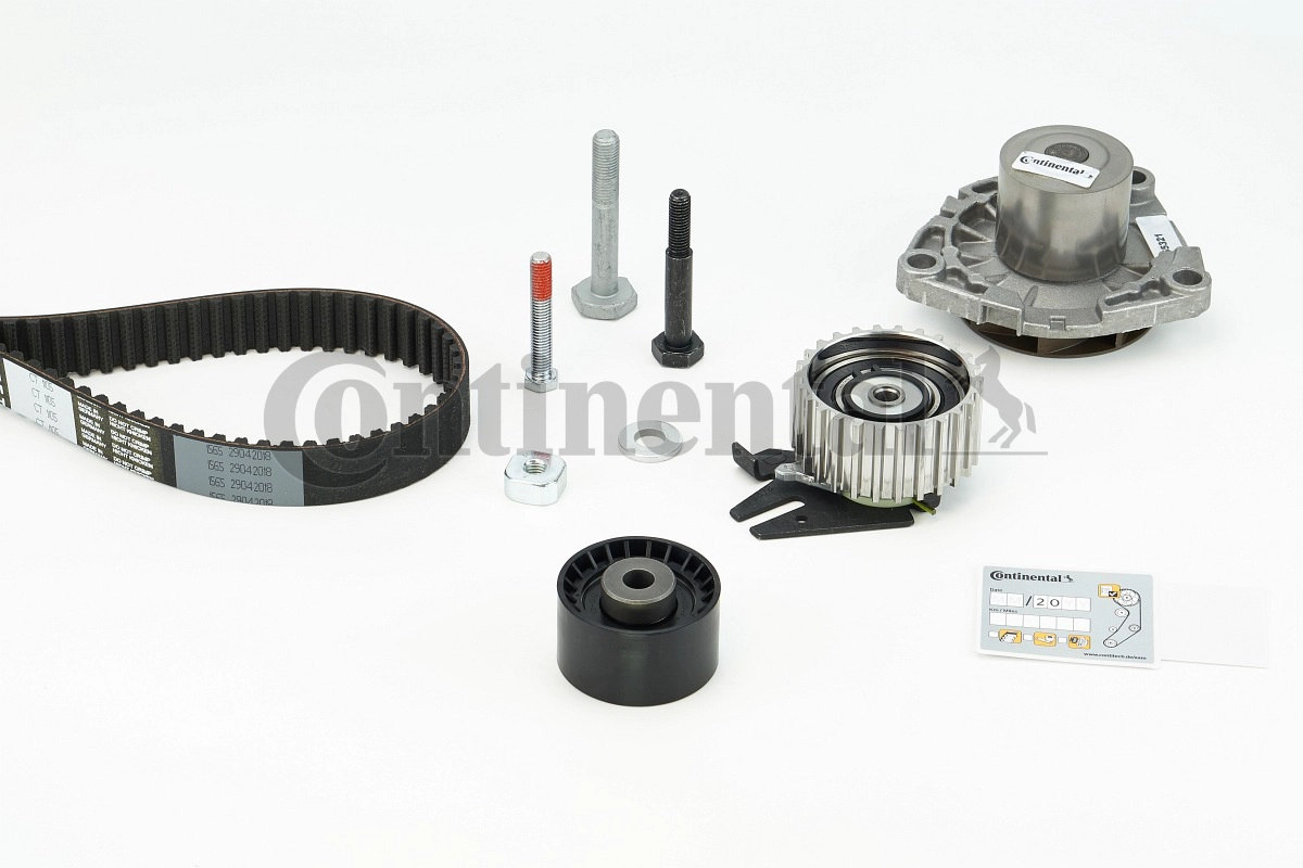 CT1105WP2