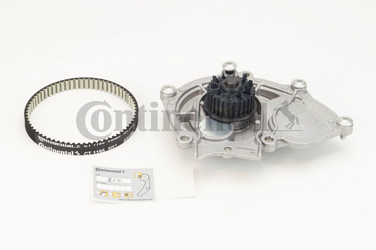 CT1195WP1