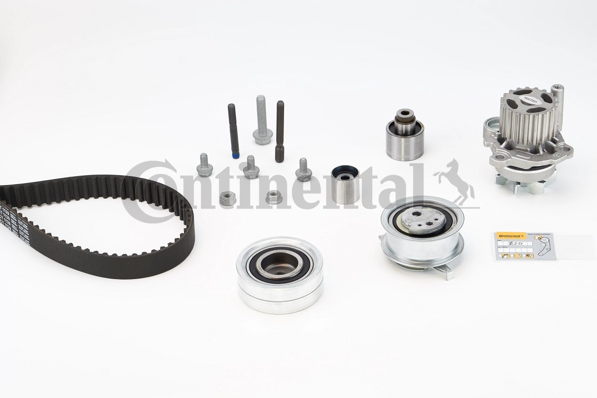 CT1139WP2