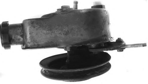 PI0231