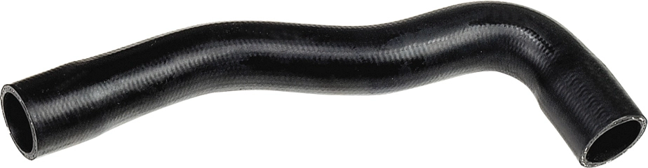 3445