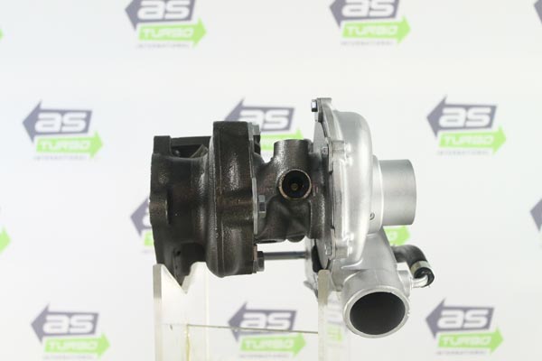 AS1298