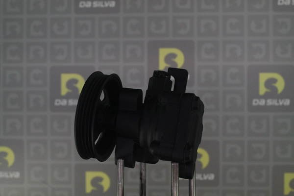 DP3636