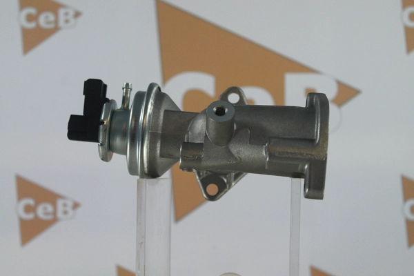 GR6118