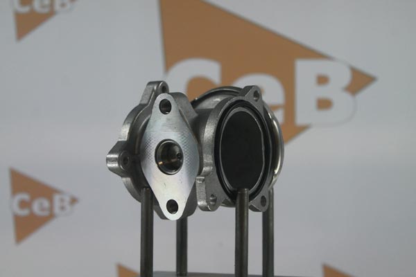 GR6063