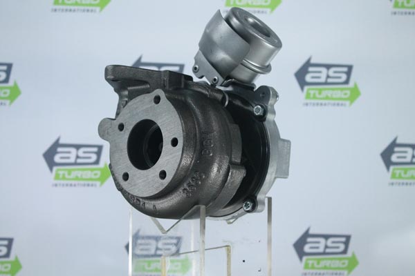 AS1013