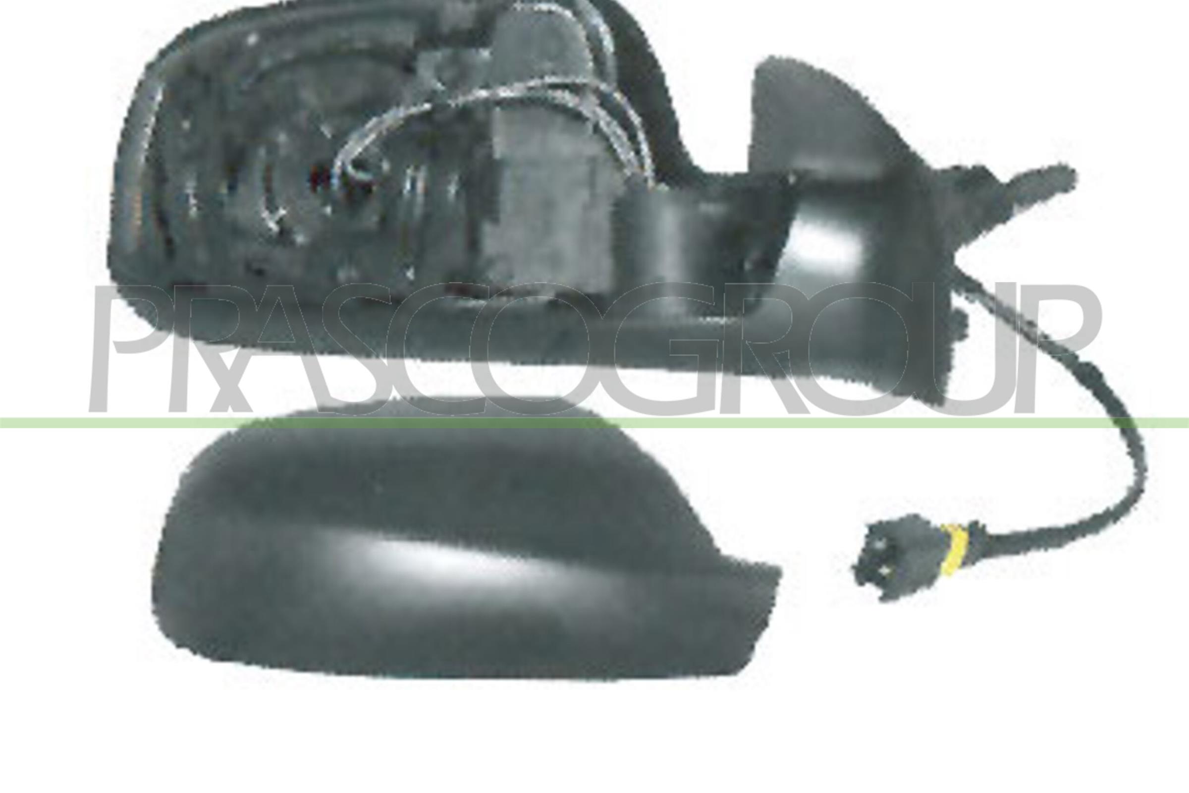 PG4207313