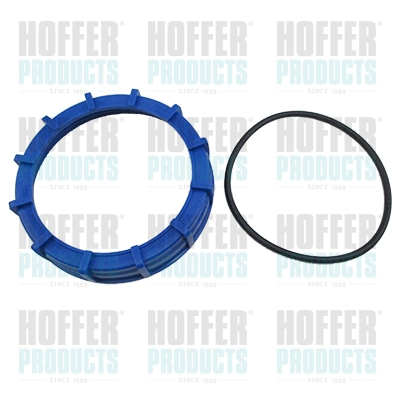GSK13