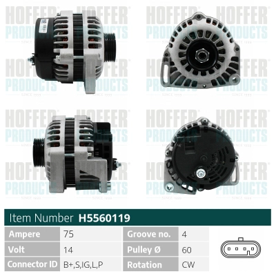 H5560119