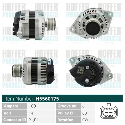 H5560175