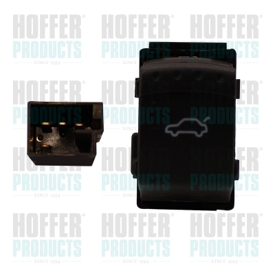 H206036