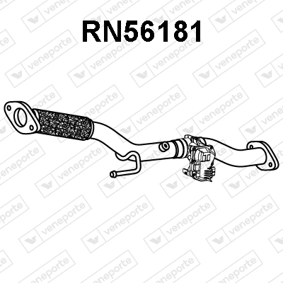 RN56181