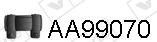 AA99070