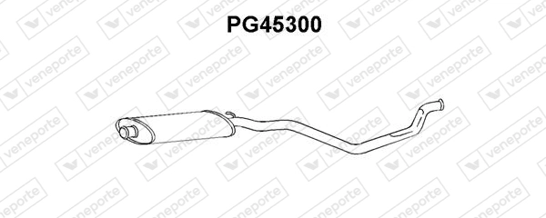 PG45300