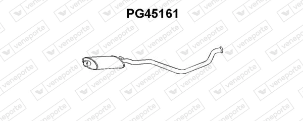 PG45161