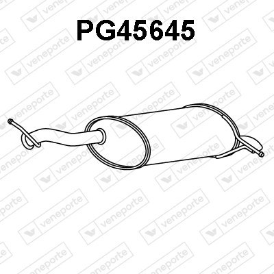PG45645