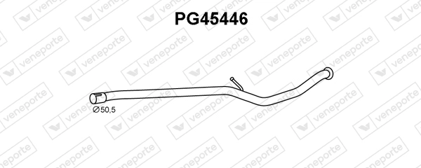 PG45446