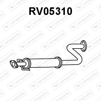 RV05310
