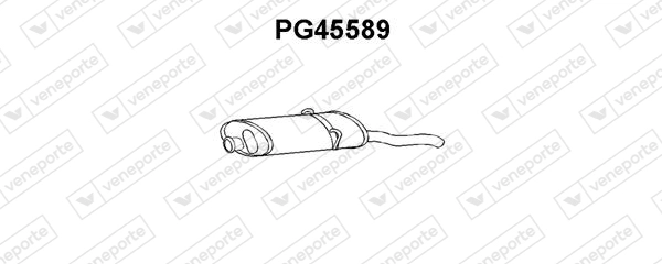 PG45589