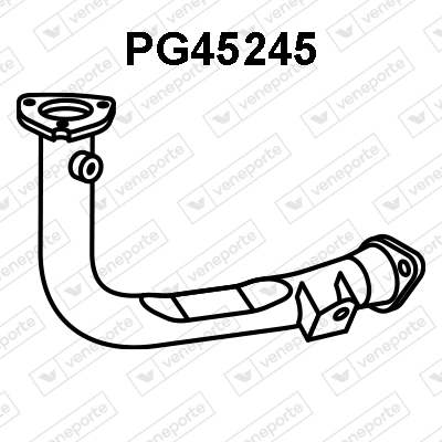 PG45245