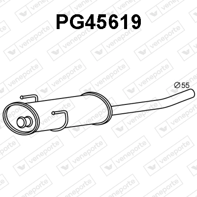 PG45619