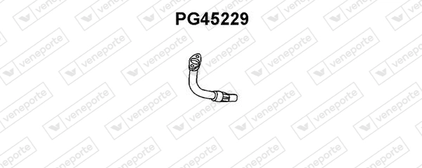 PG45229