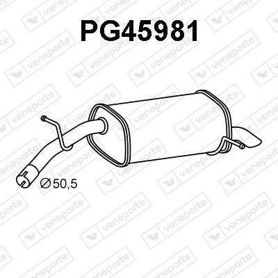 PG45981