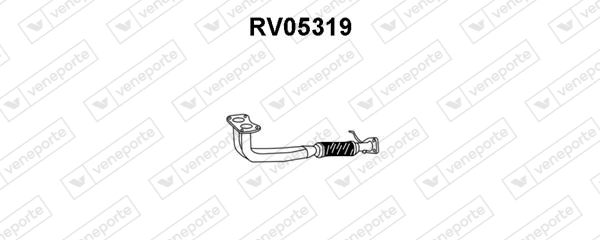 RV05319