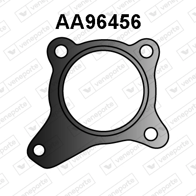 AA96456