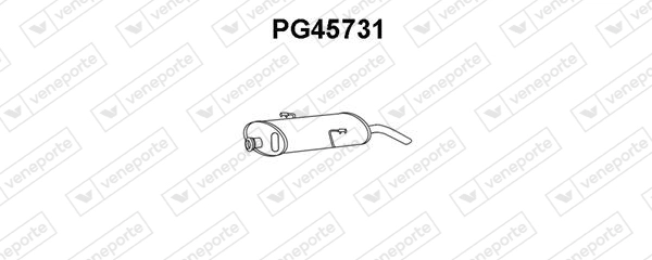PG45731