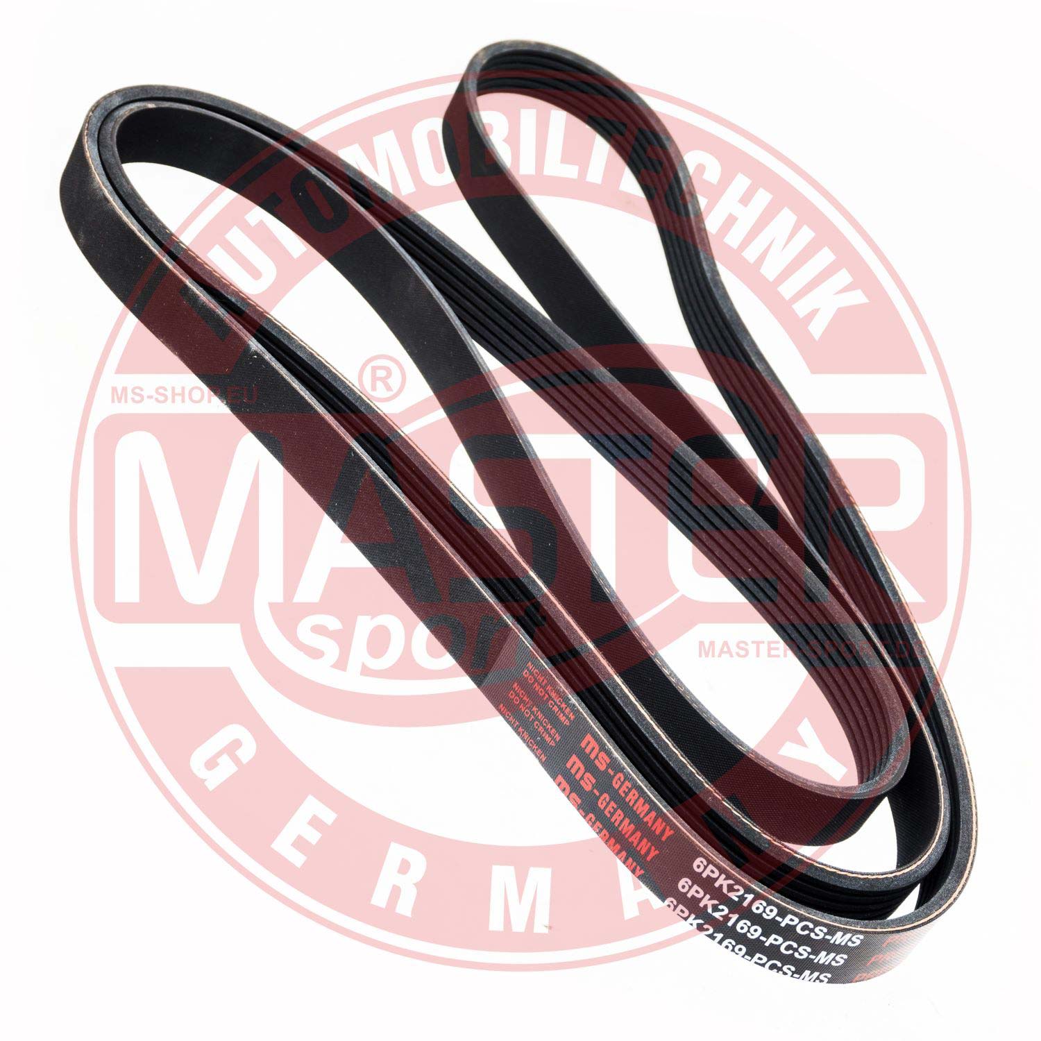 6PK2169-PCS-MS