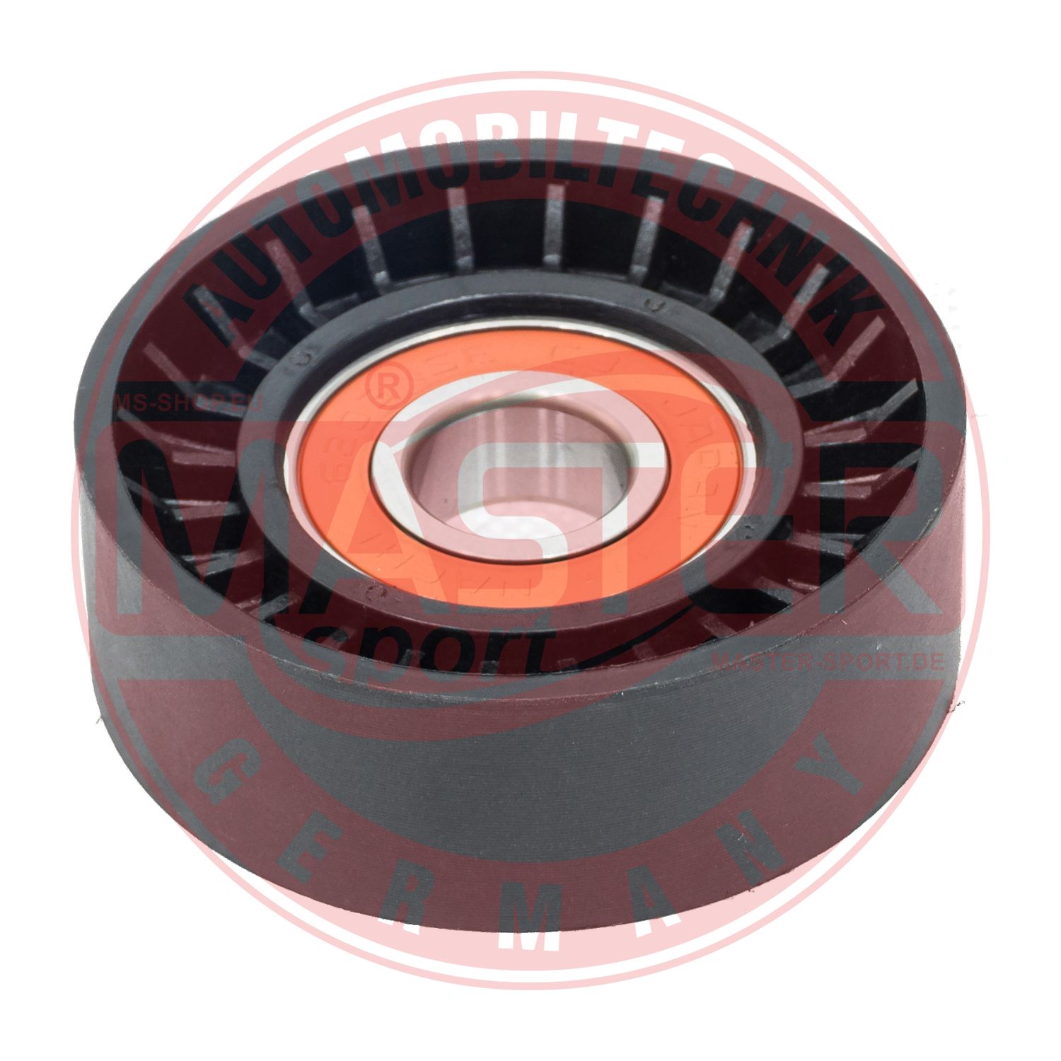 R31011-PCS-MS