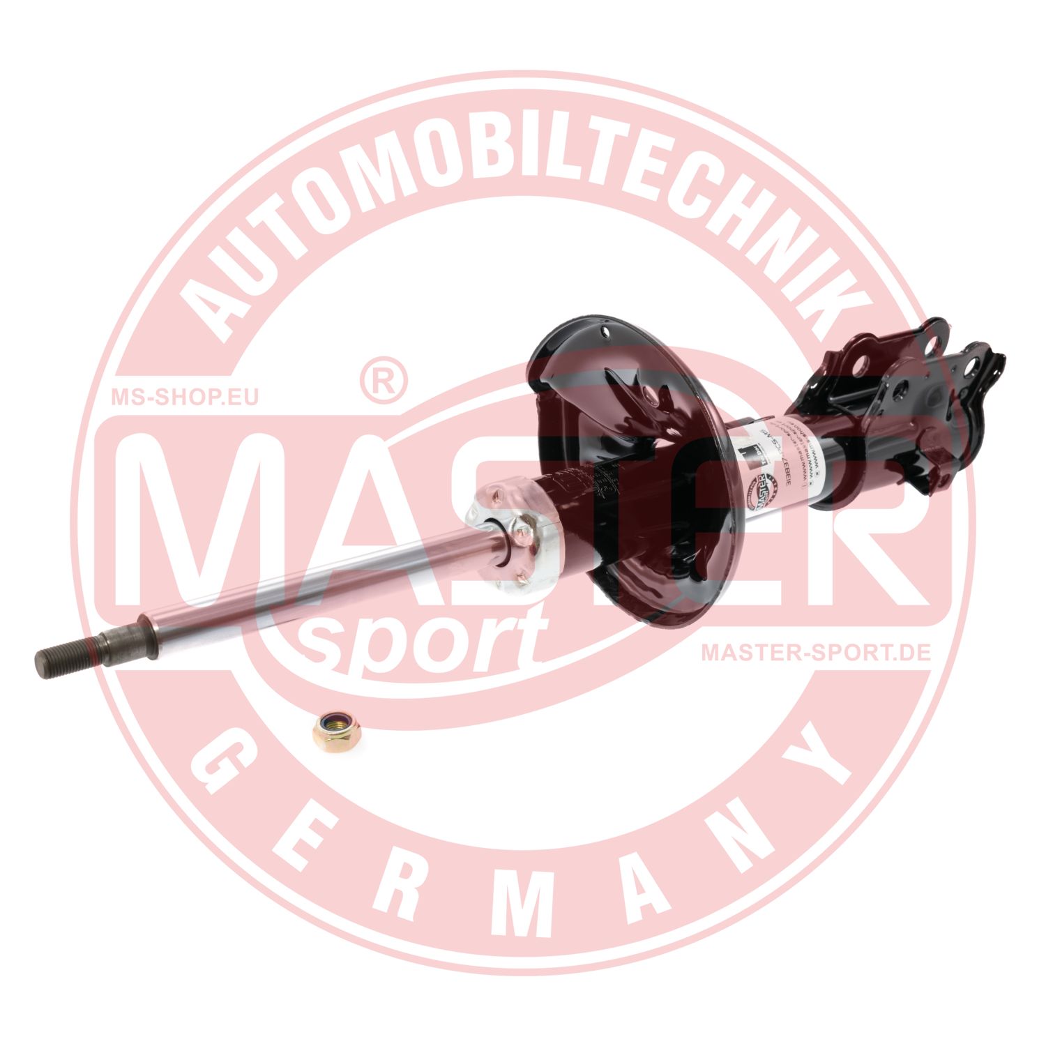 313837-PCS-MS