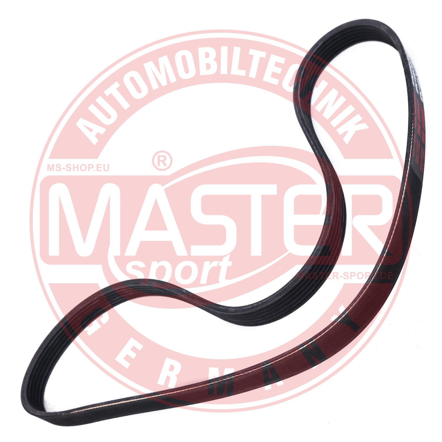 6PK1195-PCS-MS