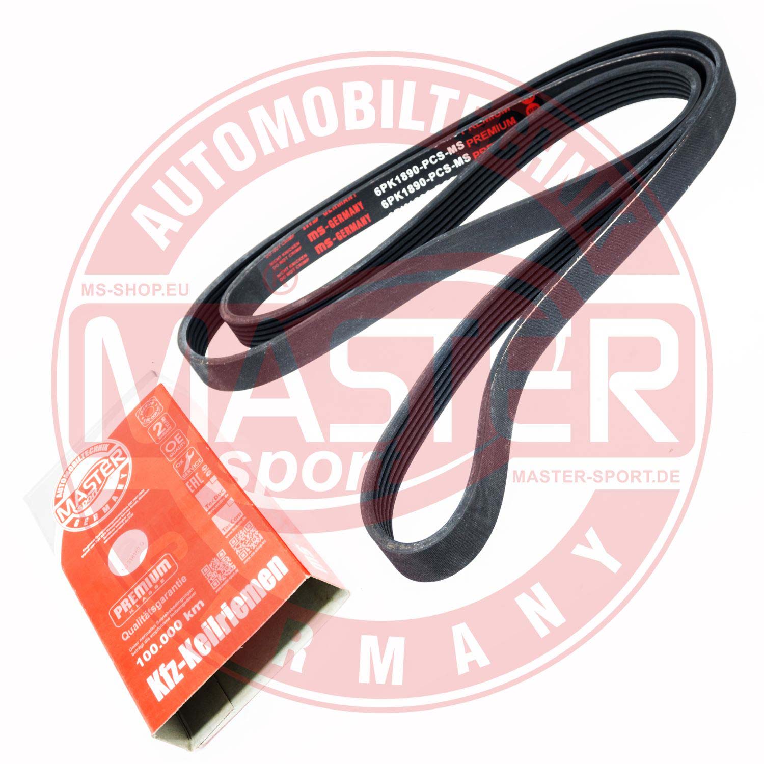 6PK1890-PCS-MS