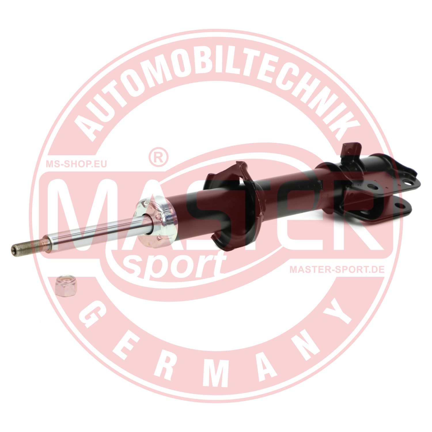 312863-PCS-MS