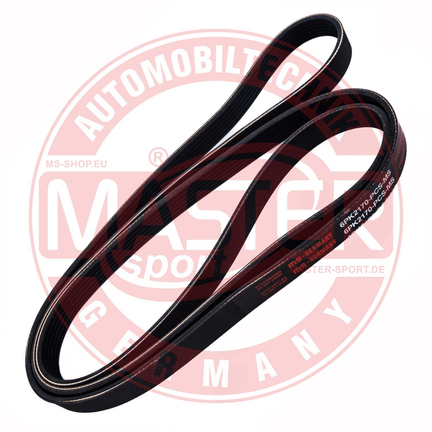 6PK2170-PCS-MS