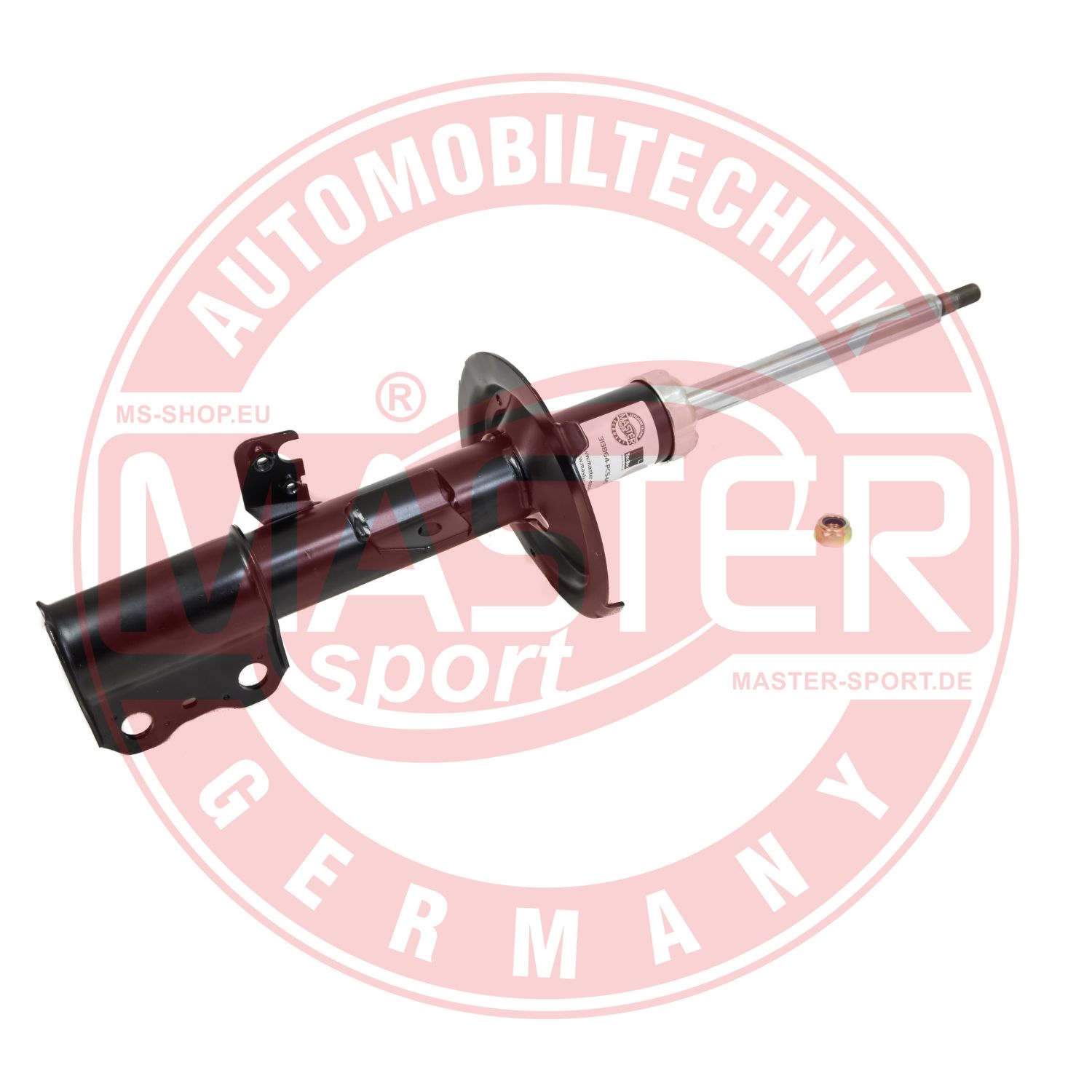 313864-PCS-MS