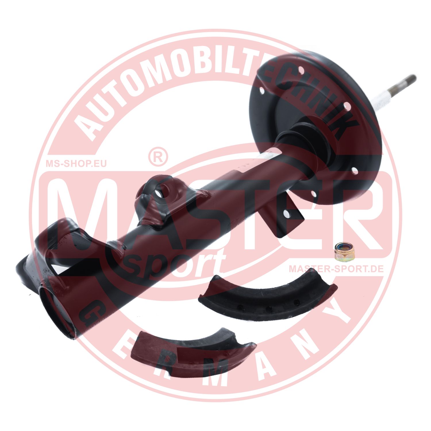 300138-PCS-MS