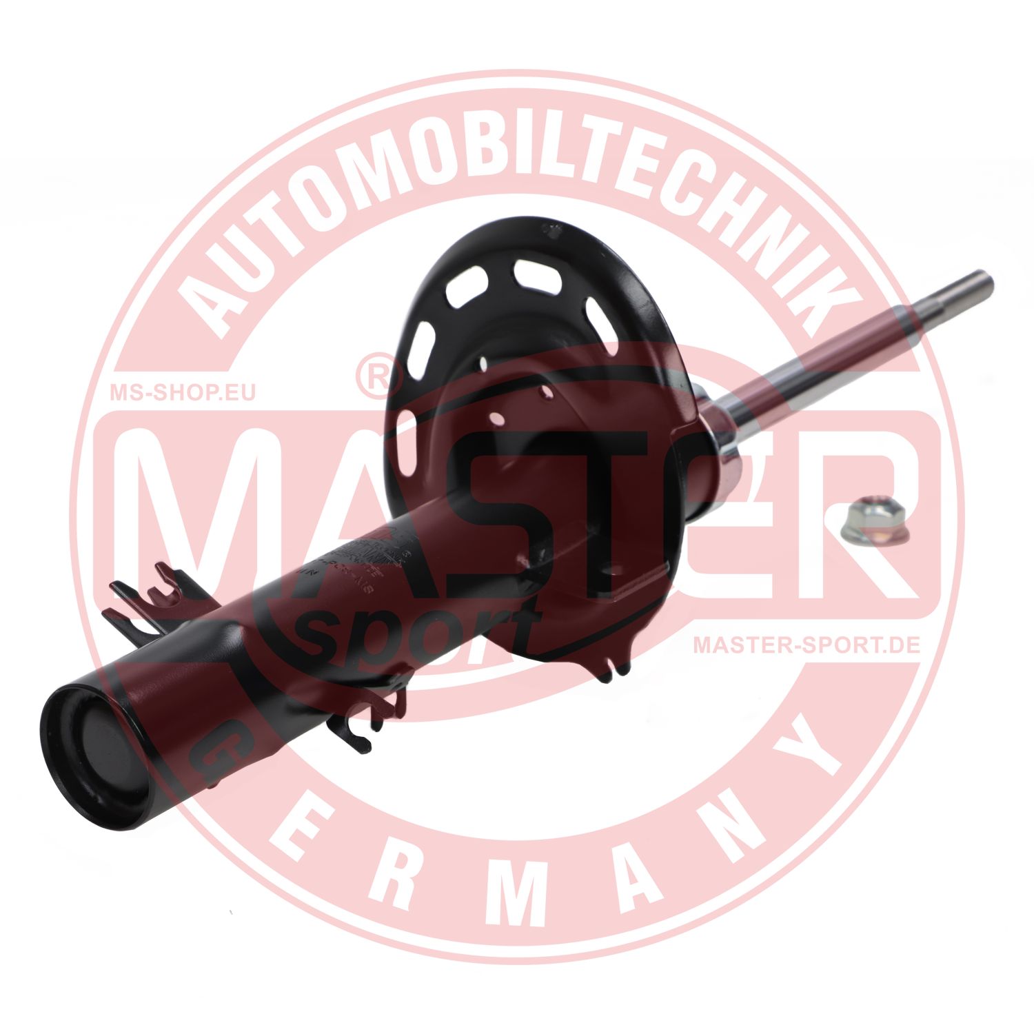 315877-PCS-MS