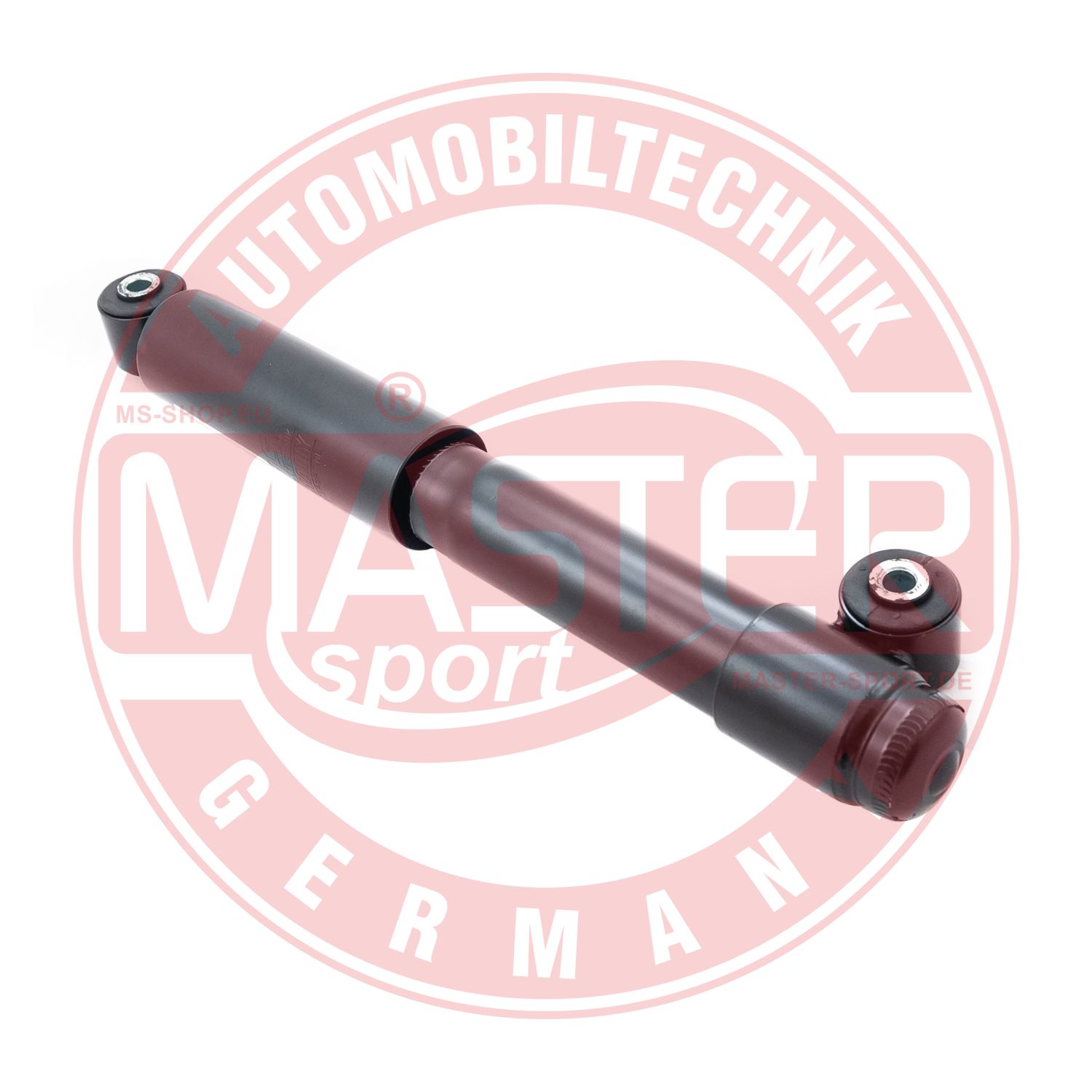 110869-PCS-MS