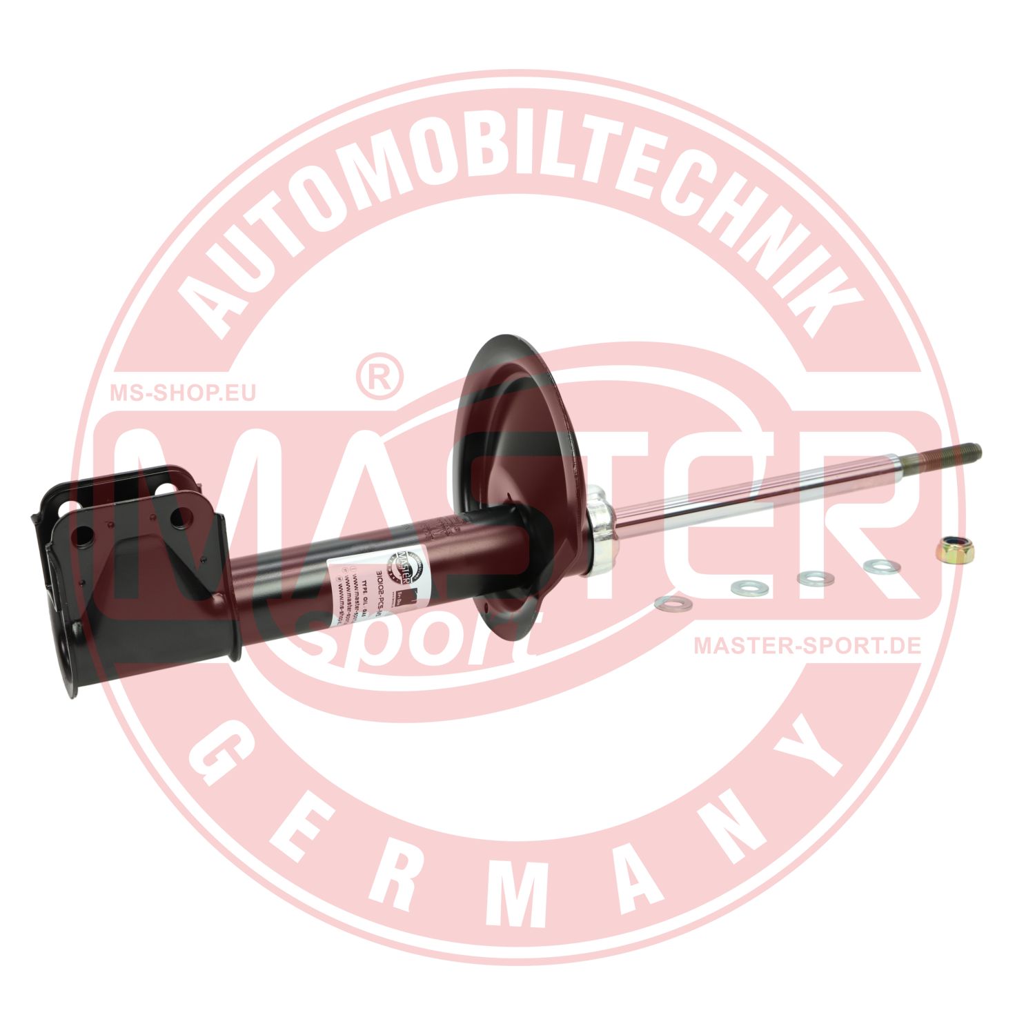 310102-PCS-MS
