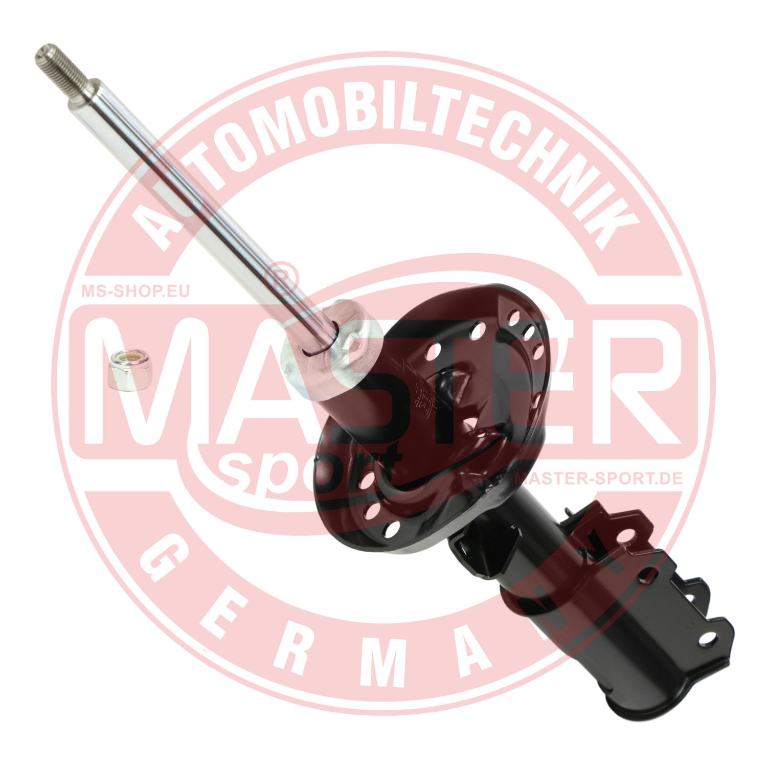 315480-PCS-MS